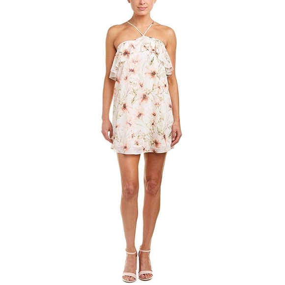 Haute Hippie Dresses & Skirts - Haute Hippie Garden of Love Shift Mini Dress